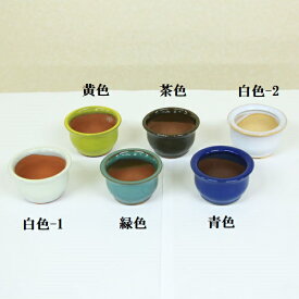 鉢：中国豆鉢（深丸）　6.8cm*資材