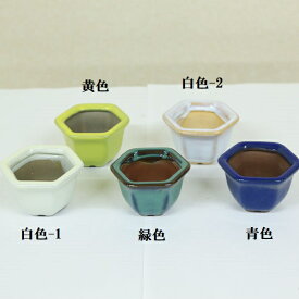 鉢：中国豆鉢（六角ソリ）　7.0cm*資材