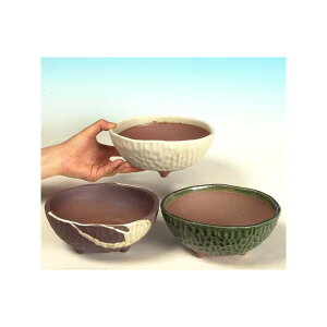 鉢:大きめな丸鉢(瀬戸焼) 17.5cm*資材