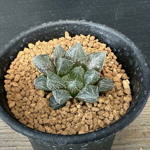 AFnI`A ^~[{[*S@3.5cm