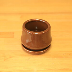 G݁@m_F@j^X|bgEh uEi󂯎Mtj@8.5cm*ZD-14s@