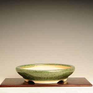 鉢:瀬戸焼丸鉄鉢 31.5cm*資材