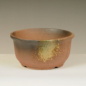 鉢:瀬戸焼丸鉢 18cm*資材