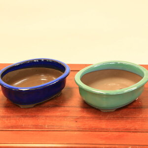 鉢:瀬戸焼小判エン付鉢 7号 21cm*資材