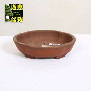 튊ƁFď@bR@11cm@yiz*