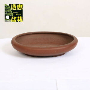 튊ƁFď@ȉ~@17.6cm@yiz*