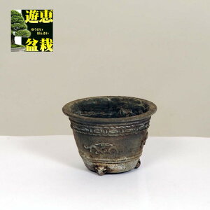 ~͏FOgYā@d@8.3cmyz*