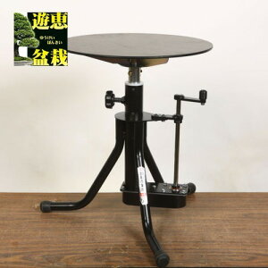 ƑF،蓮Ƒ@B^@(VS)@50cm*yz@