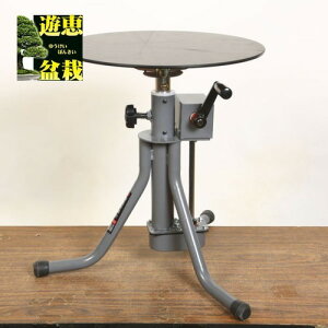 ƑF،蓮Ƒ@A^@50cm(VS)*yz