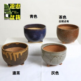 鉢：信楽焼小鉢(丸鉢)　4号　12cm　かみ山陶器*資材