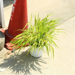 /OhJo[F蕗miӂӂjtE`\E@劔*@7|bgc