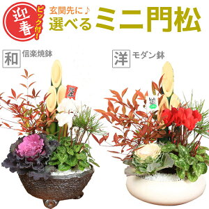 }tF~j叼*ƃsbNtiEVEn{^EK[fVNjy̎ނIׂ܂zyzbonsai