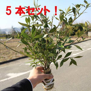 ؁FqN`iV/RN`iV@Pq*@5{ZbgI@@Ђ߂Ȃ