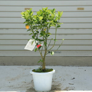 yeENɁzƒʎFLJij*ږؕc