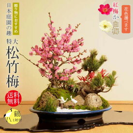 楽天市場 お正月 松竹梅 鉢の通販