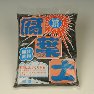 pyFty@2L*ށ@ӂ悤ǁ@tEh