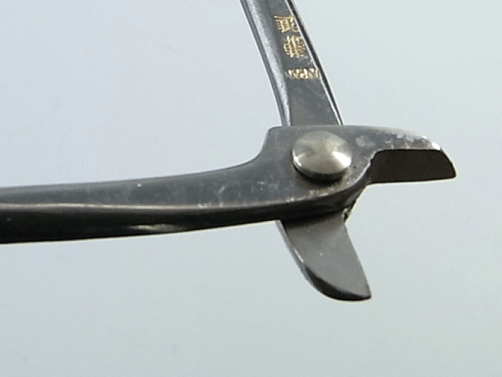 楽天市場】資材：兼進作 針金切(大・ステンレス） No.845* : 遊恵盆栽