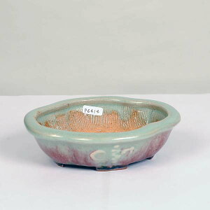 ���㏬���F��������@���b�R���@14.5cm�y���z*����