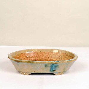 盆栽小鉢:東福寺 楕円鉢 16.7cm【現】*資材