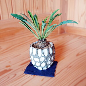 A:[tHrA@Sb 픫* MyĔ ݎR ۖʎ蔫 a