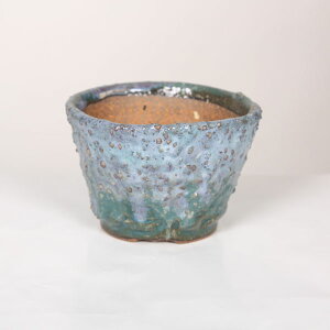 ~͏FMy@Nl@12cm*ށ@yiz