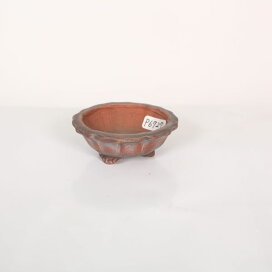 楽天市場】 盆栽鉢 > 作家鉢 > 常滑：美芸（びげい） : 遊恵盆栽 楽天  