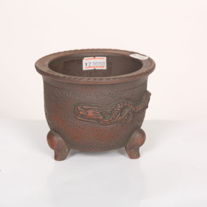 楽天市場】盆栽小鉢：美芸（常滑）丸風ラン鉢竜付き 10.3cm*資材 