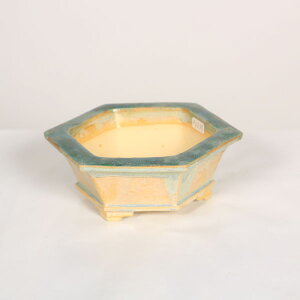 ~͏Fj_@Zp@14.4cm yiz*