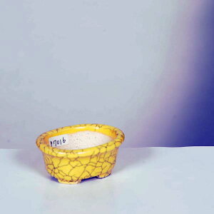 ㏬Fď@ȉ~@6.8cmyiz*