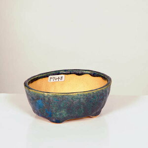 ㏬Fdq@ȉ~@10.0cmyz*