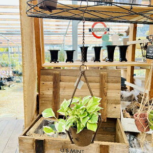  ϗtAF|gX GWC*ACA|bg ݂