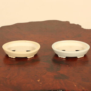 ㏬FC@ȉ~@8.0cm*ށ@ւ䂤