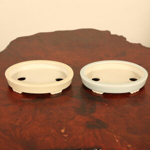 ㏬FC@ȉ~@10.0cm*ށ@ւ䂤