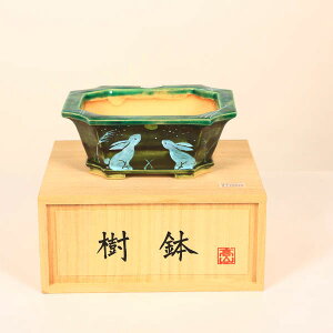 ~͏Fj_@ؔ@14.9cm yiz