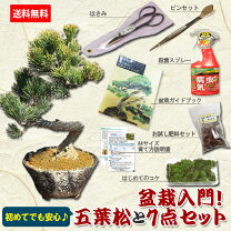 楽天市場】盆栽 道具 セット（花・ガーデン・DIY）の通販