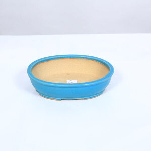 ㏬Fď@ȉ~@15.5cmyiz