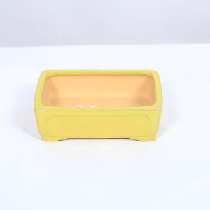 ���㏬���F�ď��@�����������@15.6cm�y���i�z