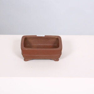 ���㏬���F�ď��@�������@10.0cm�y���i�z