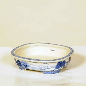 ㏬F@tȉ~@17.0cmyz(Ez@L)