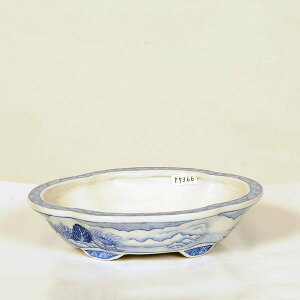 ㏬F@bR@16.3cmyiz(Ez@L)