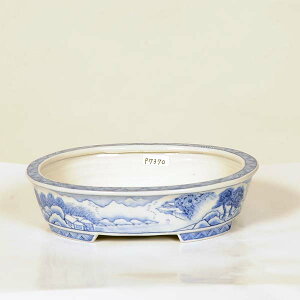 ㏬F@ȉ~@13.8cmyiz(Ez@L)