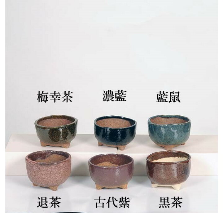 楽天市場】現代小鉢：祥石(二代目)ゆうき*小 丸鉢 2.5号 : 遊恵盆栽 