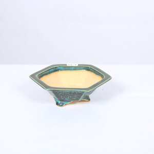 튊ƁFpiࠎRj@tZp蔫@14.0cmyiz