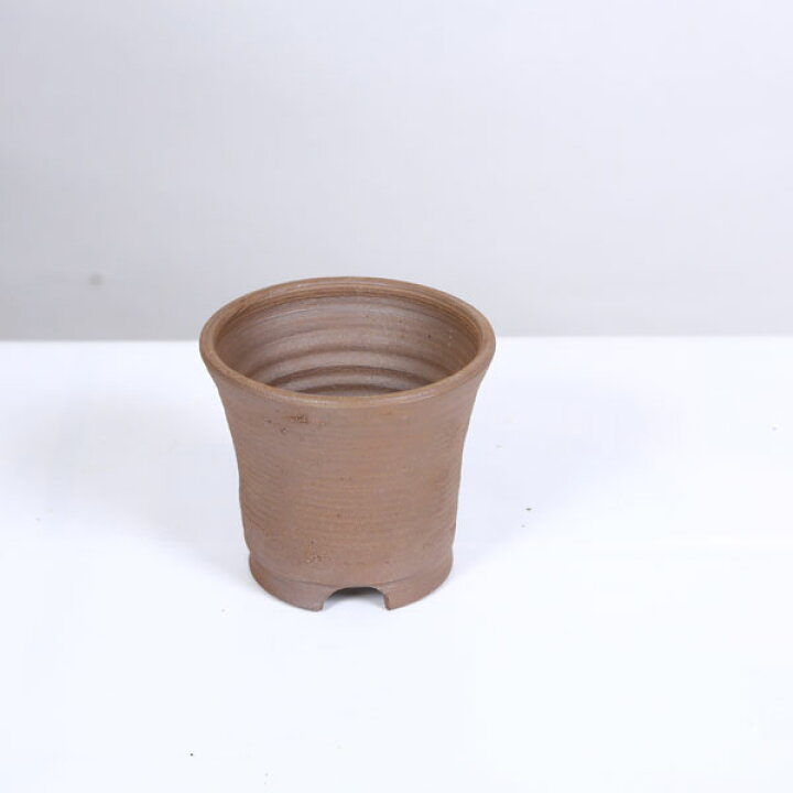 楽天市場】盆栽小鉢：立杭焼 丹満 丸鉢 9.5cm 【現品】Tachikui : 遊恵 