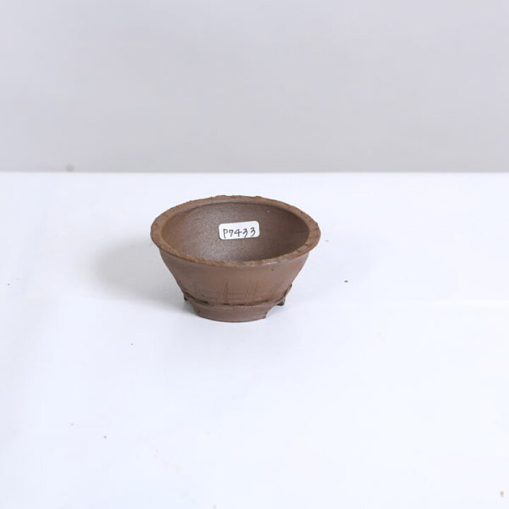 楽天市場】盆栽小鉢：立杭焼 丹満 丸鉢 8.1cm 【現品】Tachikui : 遊恵 