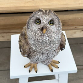 雑貨 置物 フィギュア：オウル*Owl フクロウ ふくろう フィギア H29.5cm アンティーク調