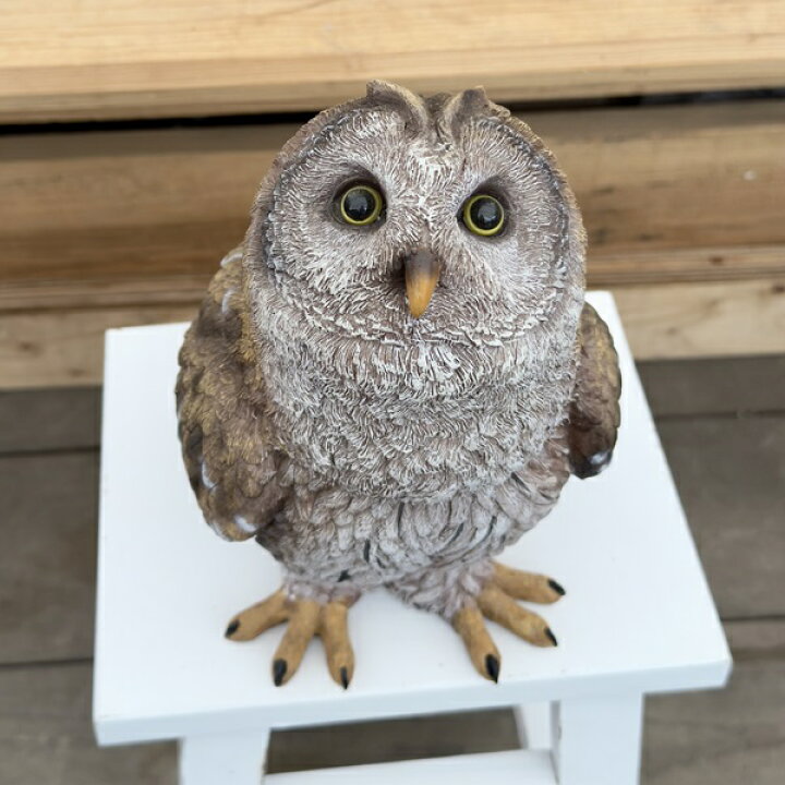 楽天市場】雑貨 置物 フィギュア：オウル*Owl フクロウ ふくろう 