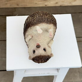 雑貨 置物 フィギュア：ハリネズミ C*hedgehog はりねずみ フィギア H13.8cm アンティーク調