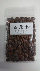 qFyeʁzܗt*i悤܂/SE}cj