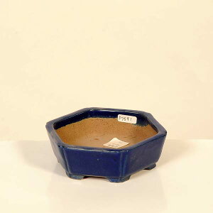 ㏬Fď@Zpyiz*shibakatu@12.2cm